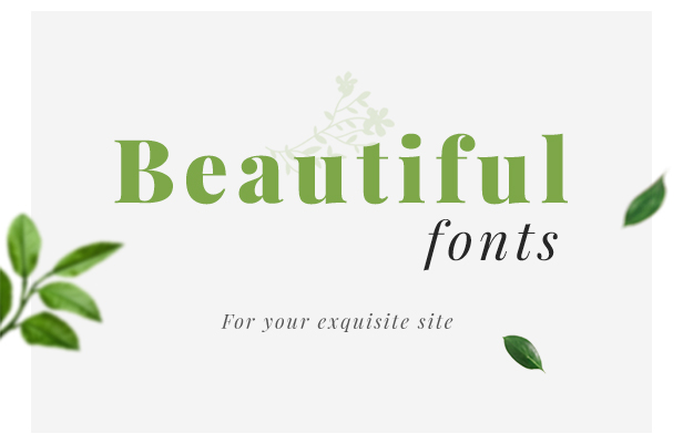 Organic Store WordPress theme - Beautiful Fonts