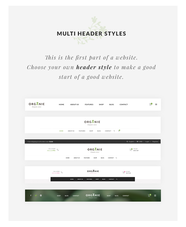 Organie – Organic Store & Food WooCommerce Theme