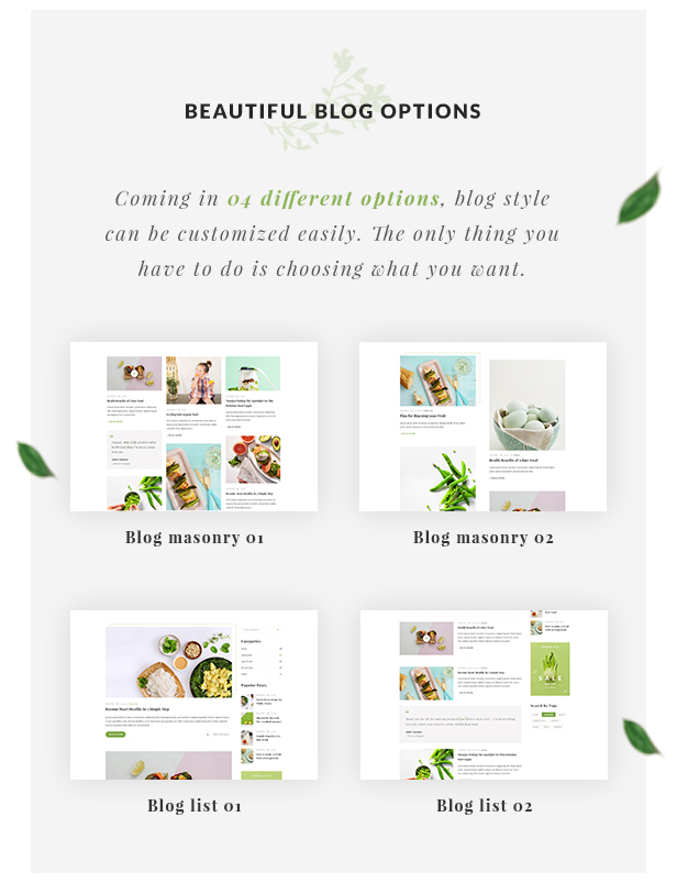 Organic Store WordPress theme - Blog Options